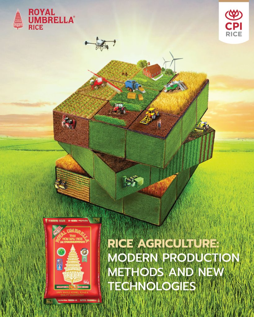 RICE AGRICULTURE